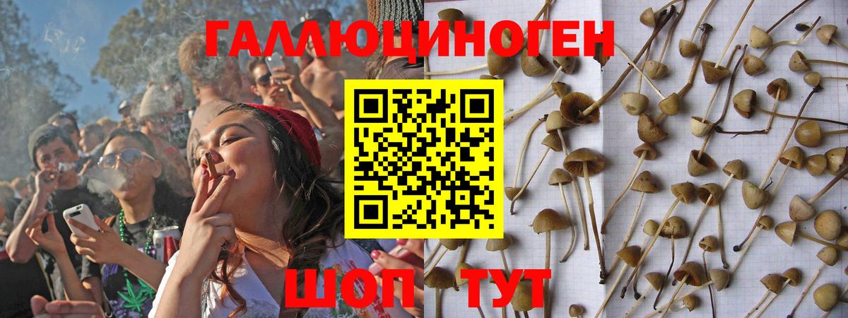 Галлюциногенные грибы мухоморы Щёкино